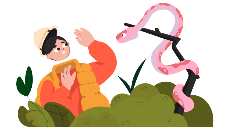 Fatal error Clipart illustration in PNG, SVG