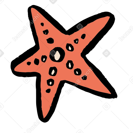 starfish Illustration in PNG, SVG