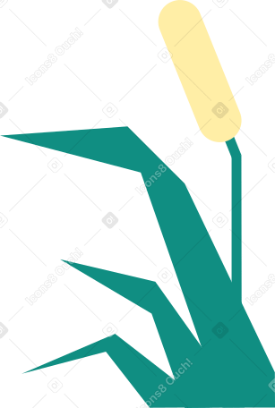 reed PNG, SVG