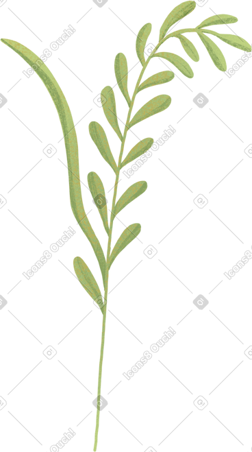 Little green spikelet PNG, SVG