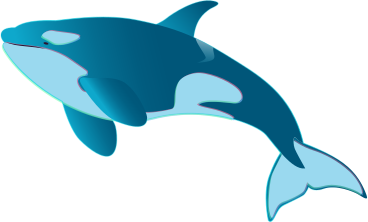 schwimmender orca PNG, SVG