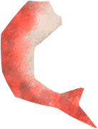 shrimp PNG, SVG