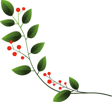 green twig with red berries PNG, SVG