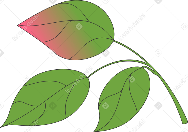 twig with leaves PNG, SVG