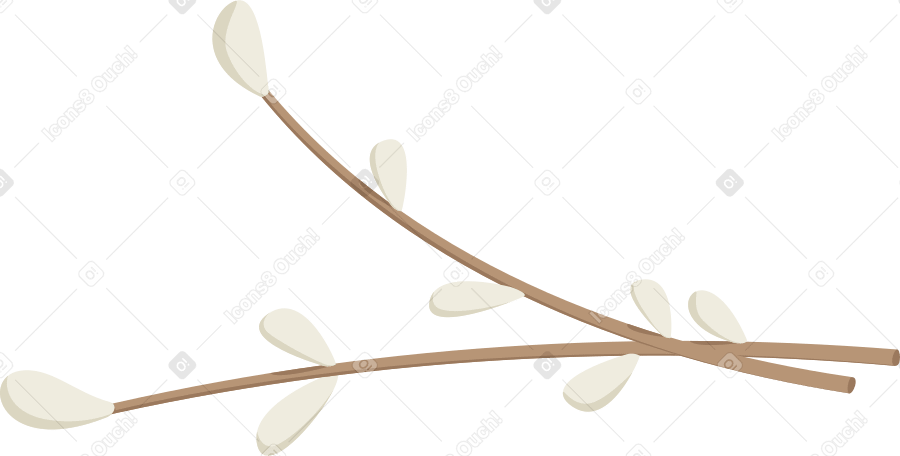 willow sprig PNG, SVG