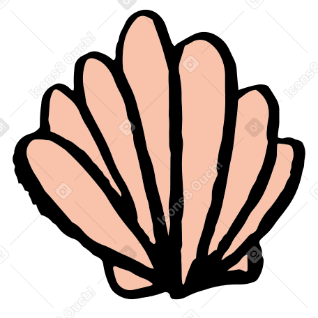 shell Illustration in PNG, SVG