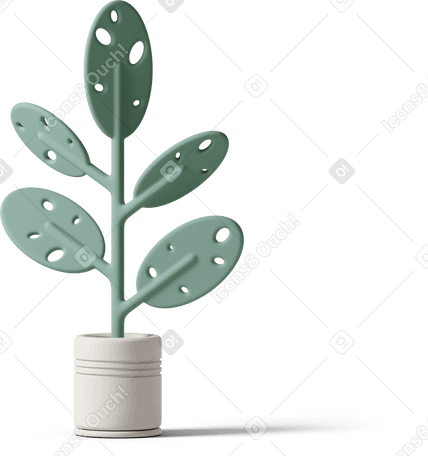 3D monstera plant with holes in white pot PNG, SVG