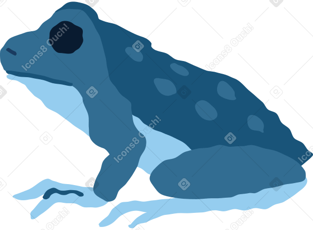 青蛙坐 PNG, SVG