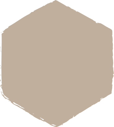 Light grey hexagon PNG、SVG
