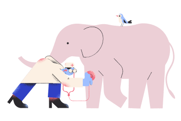 Vet doing a health checkup on elephant PNG, SVG