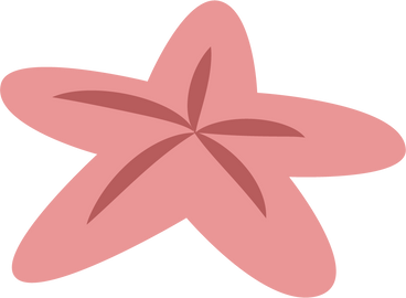 Étoile de mer PNG, SVG