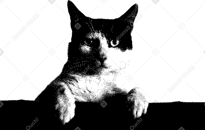 고양이 PNG, SVG