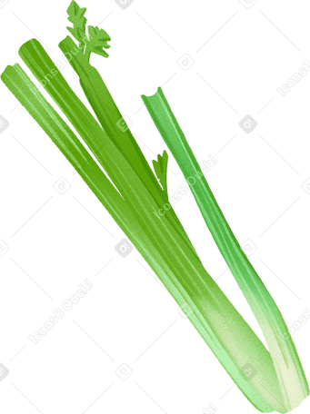 celery в PNG, SVG