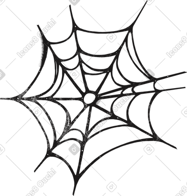 Spider web PNG, SVG