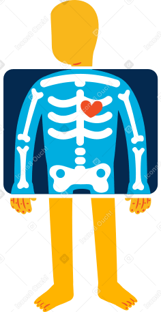 x-ray PNG, SVG