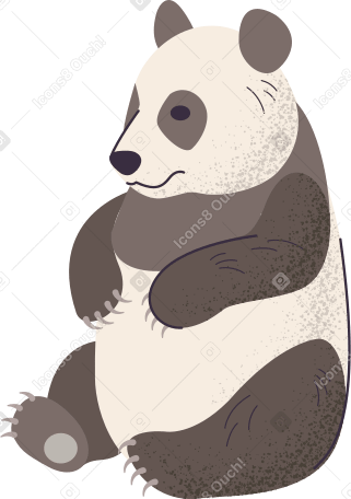 panda bear Illustration in PNG, SVG