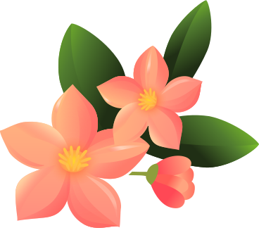 three pink flowers PNG, SVG