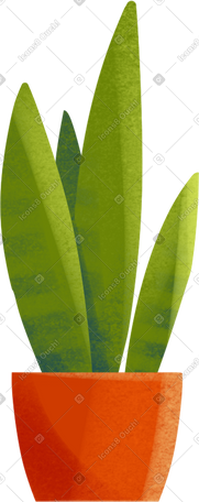 橙色罐中的虎尾兰属植物 PNG, SVG