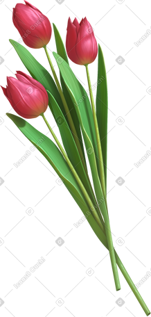 bouquet of tulips PNG, SVG