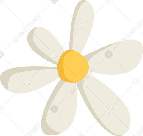 daisy PNG, SVG