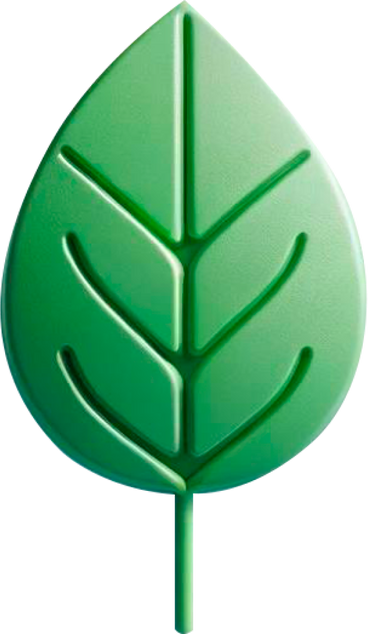 Leaf icon PNG, SVG