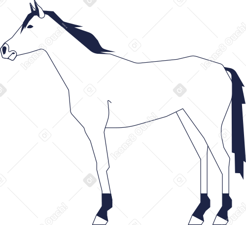 pferd PNG, SVG