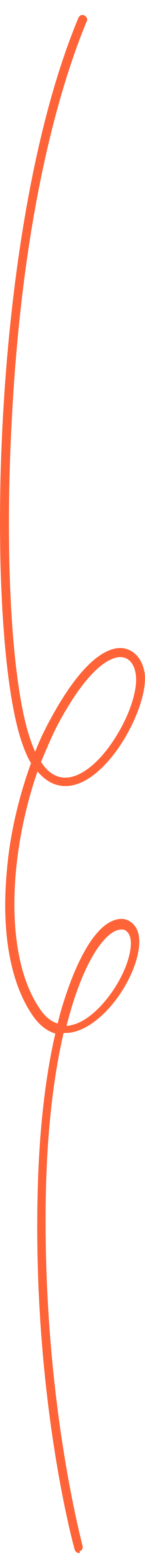 Красная фигурная линия в PNG, SVG