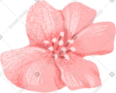 little pink flower PNG, SVG