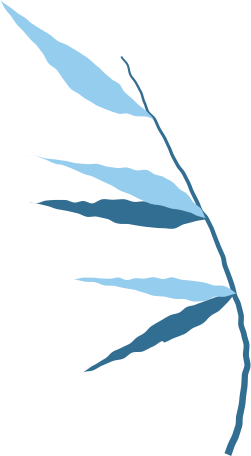 bamboo branch Illustration in PNG, SVG