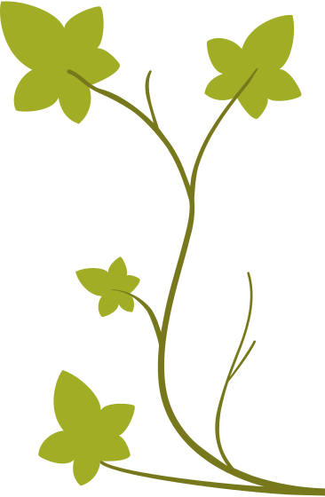 Green ivy PNG, SVG