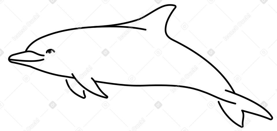 dolphin PNG, SVG