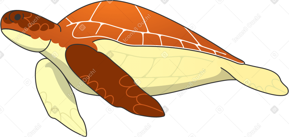 Piccola tartaruga PNG, SVG