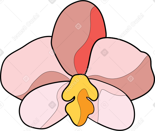 fleur orchidée PNG, SVG