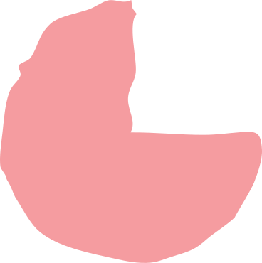 pink pie chart PNG, SVG