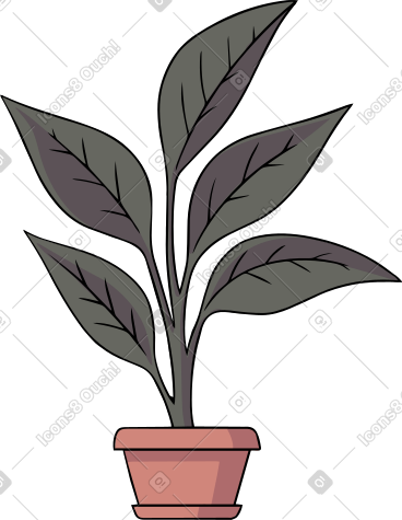 Plant PNG, SVG