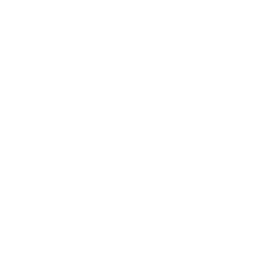 White quatrefoil PNG、SVG