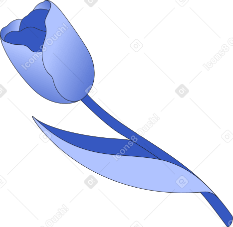 flower tulip PNG, SVG