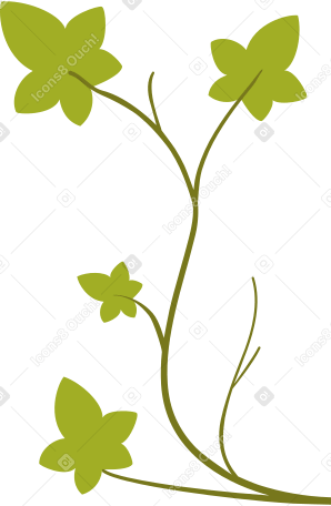 green ivy Illustration in PNG, SVG