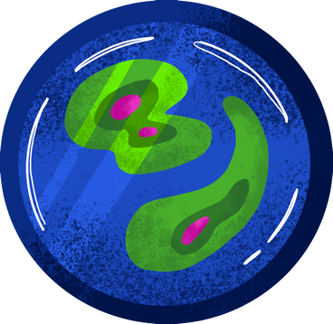 micro-preparation with bacteria PNG, SVG