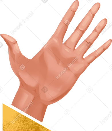 right open hand PNG、SVG