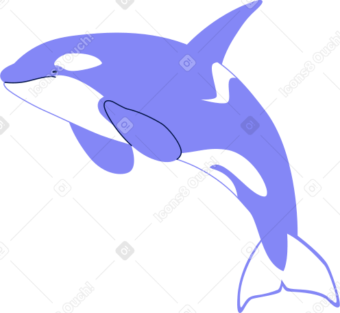 Orca saltarina PNG, SVG