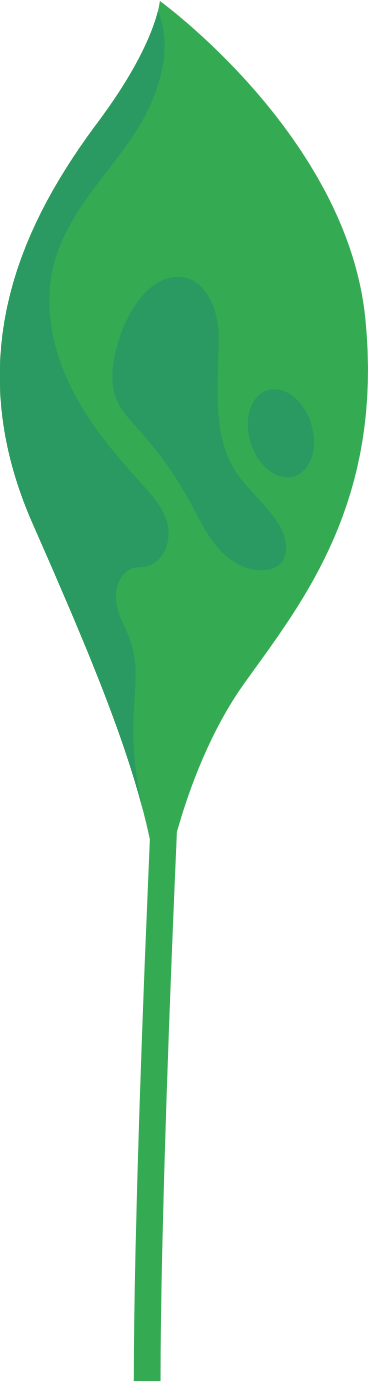 Анимированная иллюстрация green big leaf в GIF, Lottie (JSON), AE