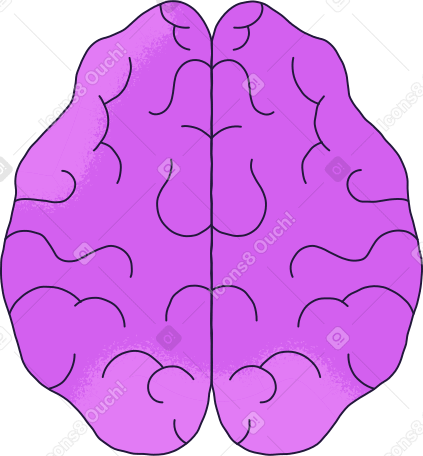 brain top PNG, SVG