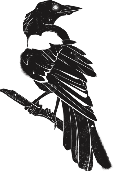 Magpie PNG, SVG