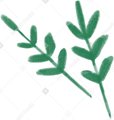 two green sprigs Illustration in PNG, SVG