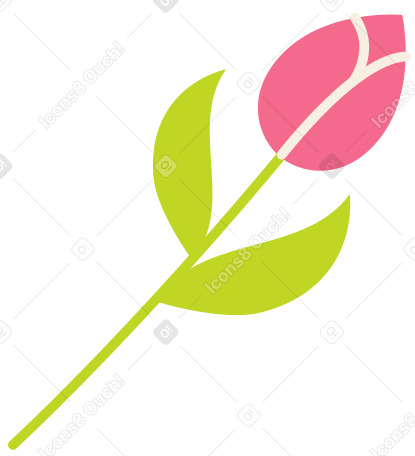 тюльпан в PNG, SVG