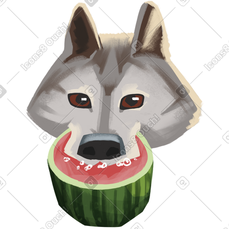 wolf eating watermelon PNG, SVG