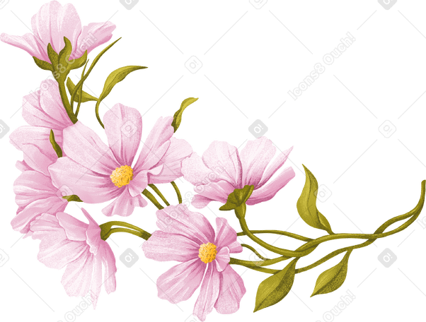 Stem에 분홍색 섬세한 꽃이 많이 있습니다. PNG, SVG