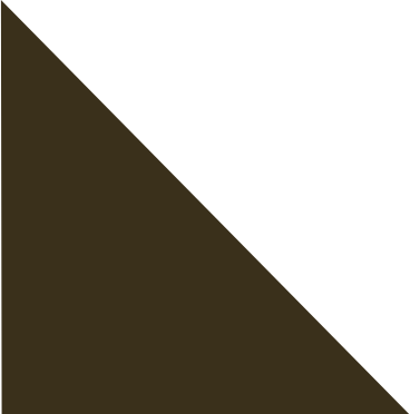 Brown triangle в PNG, SVG