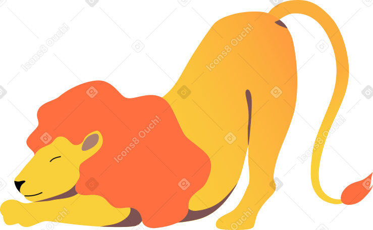 lion stratching Illustration in PNG, SVG